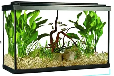 Aquarium fluval filtreur et chauffe eau.