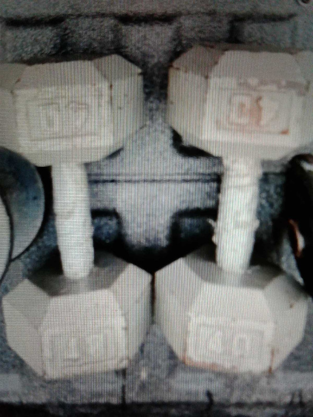 2x 40 pounds iron hex dumbbells for $70 total  in Exercise Equipment in City of Toronto