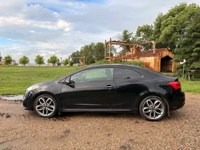 2014 Kia Forte497679062952192002