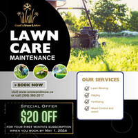 Professional lawn care and maintenance 