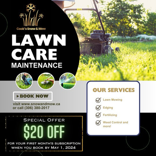 Professional lawn care and maintenance  in Lawn, Tree Maintenance & Eavestrough in Saskatoon