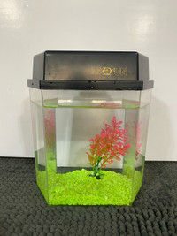 Betta Fish Tank  / Aquarium - just $15