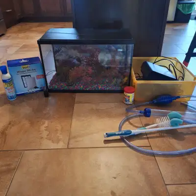 Fish tank and accessories, View more