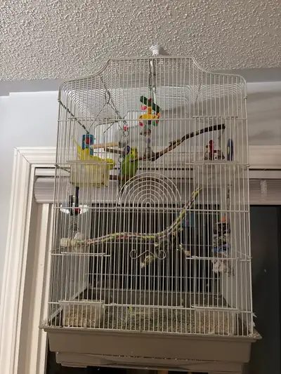bird cage with stand, View more