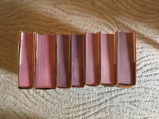 Mixed Volumes of The Story of Civilization Series in Non-fiction in Saskatoon - Image 7