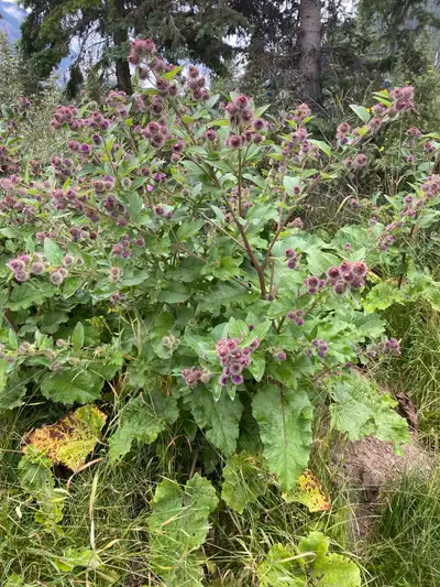 FOUND. Woman’s VERO MODA Jacket Found, View more