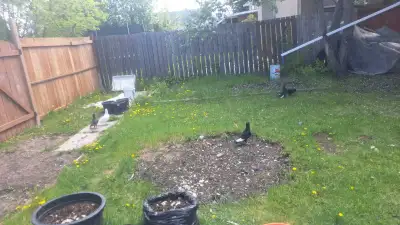  ......حمام, View more