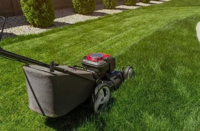 Landscaping 410021104589230081