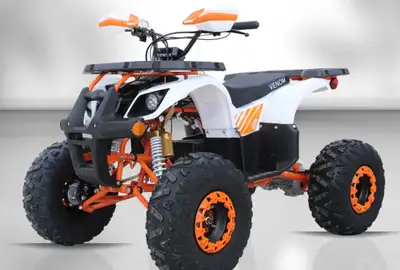 1500w E-Grizzly 48 V ATV Brushless. Want to buy an electric ATV and save some money on the new price...