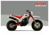 Wtb Yamaha bw 200