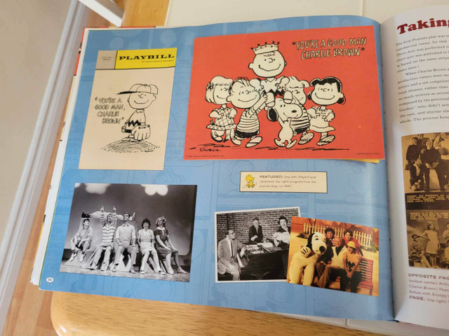 The Peanuts Collection: Treasures in Children & Young Adult in Windsor Region - Image 4