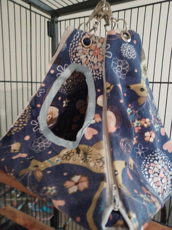Pet tent New in Birds for Rehoming in Abbotsford