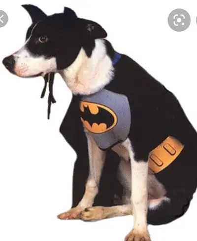 Batman Dog Costume - small, View more