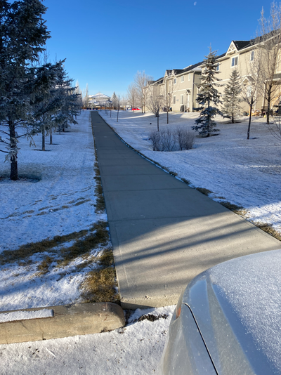 15% OFF winter maintenance and tree services, View more