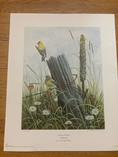 Randy Wilson Limited edition print, View more