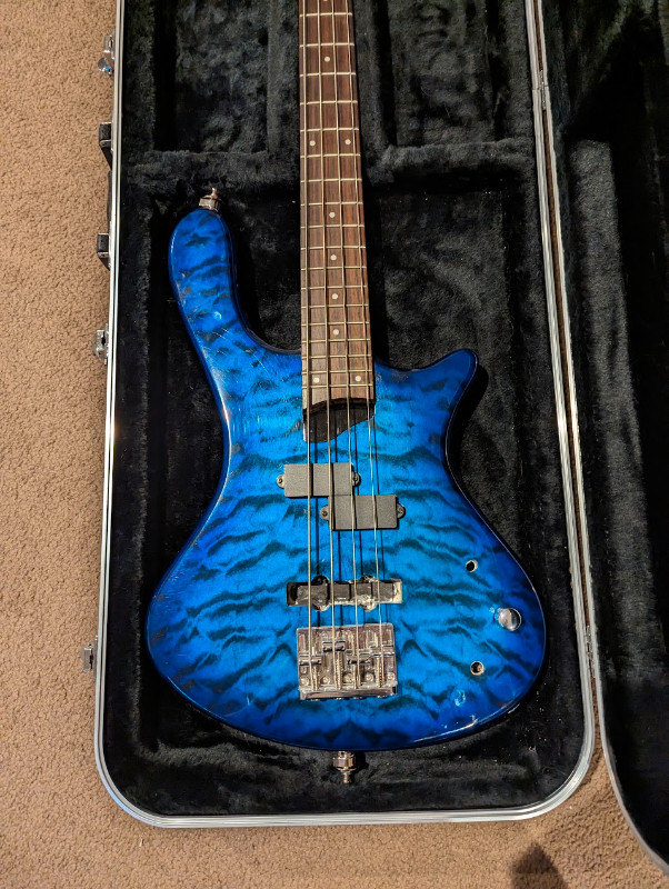 REDUCED!!! Washburn Taurus T14 Bass With Extras!!! in Guitars in Calgary - Image 2