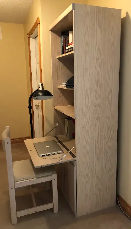Elegant wall unit in Bookcases & Shelving Units in Markham / York Region - Image 7
