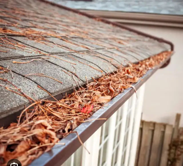 Eavestorugh/Gutter Cleaning 64285833961731120