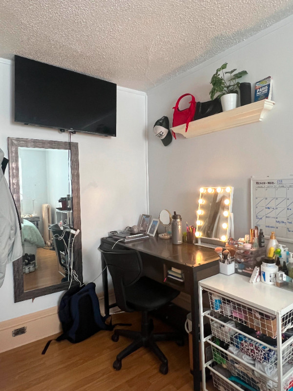 Kingston Queens student summer sublet in Room Rentals & Roommates in Kingston - Image 4