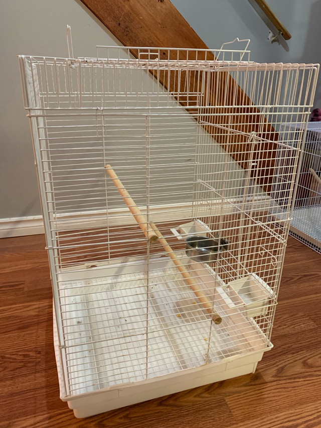 Big two cage for Cockatiels or Cockatoos  in Other in Hamilton - Image 2