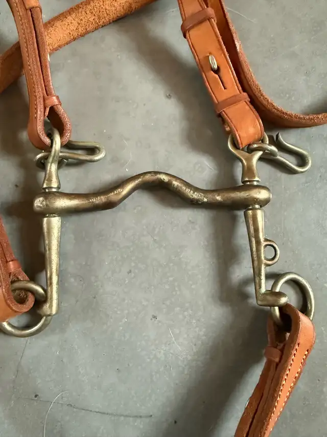 Bride de Cheval en cuir et corde d’attache in Equestrian & Livestock Accessories in Laurentides - Image 10