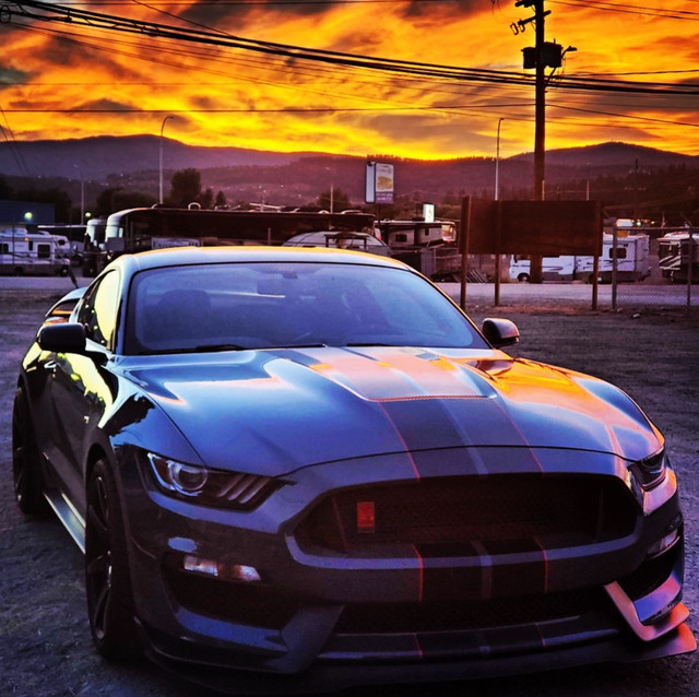 FOR SALE: RARE 2018 FORD SHELBY GT-350R in Cars & Trucks in Kelowna - Image 2
