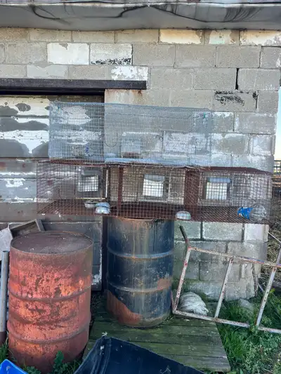 rabbit cage, View more