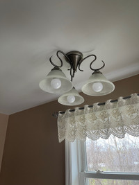 3 light  brushed nickel ceiling mount light fixture