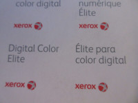 Pro Printing Large Xerox Bold 11 x 17  Coated Gloss 250 sheets