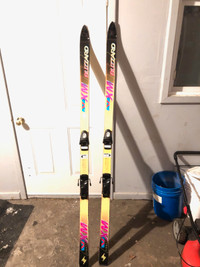 Skis! Skis! Skis! (Pickup in Centrepointe/Algonquin College Area