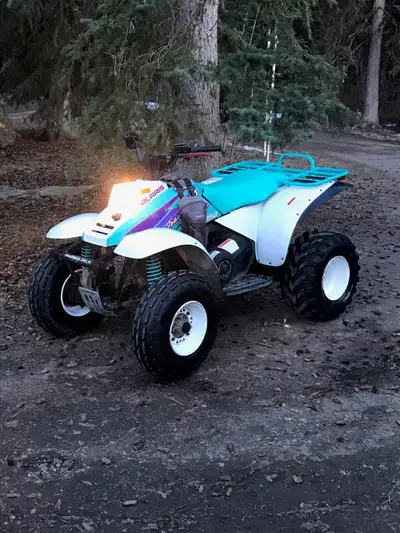 A Rare Find , 1996 Polaris 250 Trail Boss Two Stroke ,Automatic Transmission Electric Start , Mint C...
