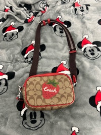 coach crossbody Kitchener / Waterloo Kitchener Area Preview