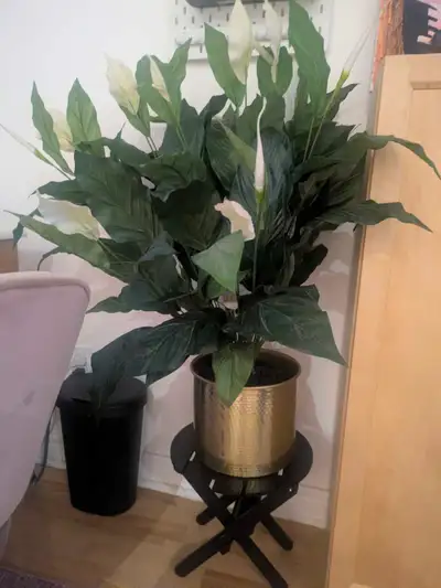 Artificial plants with pots, View more