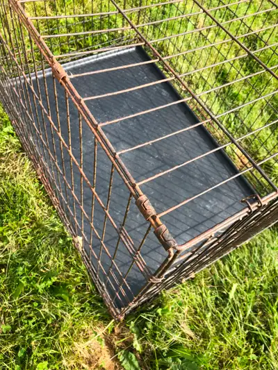 Collapsible Medium Wire Pet Crate, View more