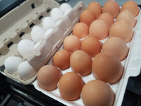 $5.00/6.50 for White and Brown Eggs!
