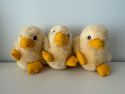 Poussins en peluche (3), View more
