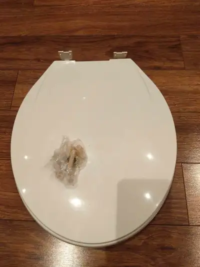 toilet seat, View more