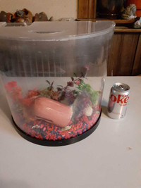Acrylic halfmoon fish tank