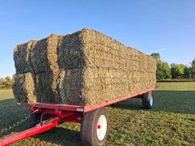 hay for sale , View more