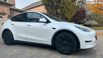 Cybertruck style. Set of 4. Fits 19 inch Gemini oem Tesla wheel/rim. In absolutely pristine, perfect...