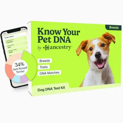 *Read ad* Brand new and sealed These are from the USA where they sell for $99 + tax USD (over $140 C...