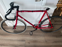 Fuji Classic Fixed Gear Bike - L (58cm)