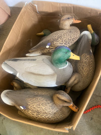 Duck Decoys