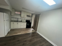 Walkout Basement for rent in Whitby