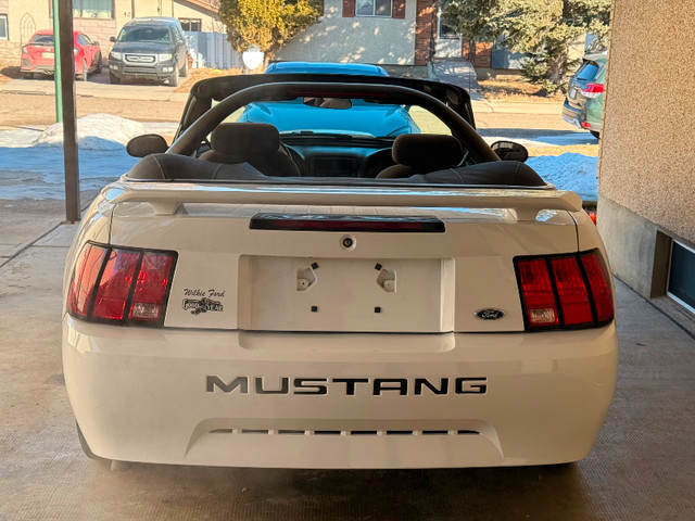 2002 Ford Mustang in Cars & Trucks in Medicine Hat - Image 3