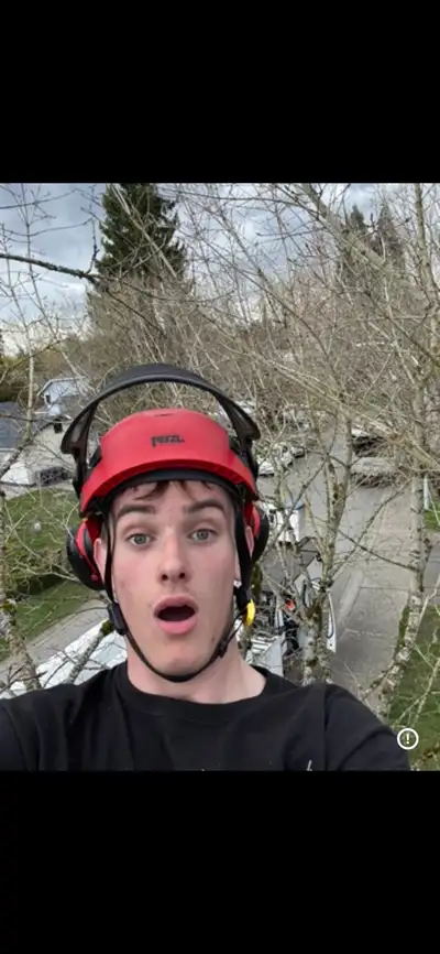 Professional Tree & Hedge Care – Certified Arborist Serving New Westminster, Burnaby & Surrey Need y...
