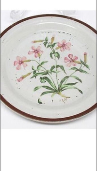 Wanted: Wild Pink Counterpoint dishes, mugs