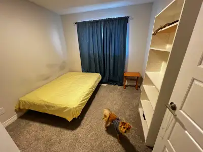 KABAYAN!! Furnished Bedroom for Rent – Upper Level Looking for a responsible single female who loves...