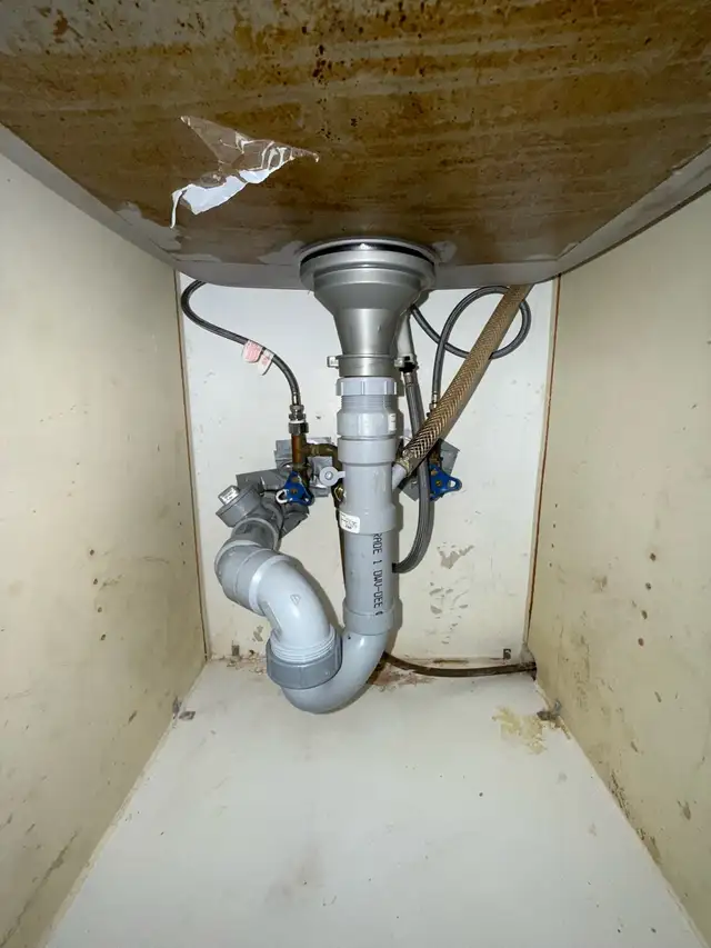 Plumber Licensed 508105813058529286