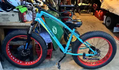 Adult Fat Bike, View more
